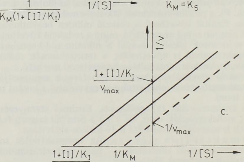 gátolt reakció esetében =, a gátolt К м К s ; v m ax +Ш/К/ reakciók esetében. c) A gátlás versengőtlen: a tengelym etszetek az ordinátán, ill.
