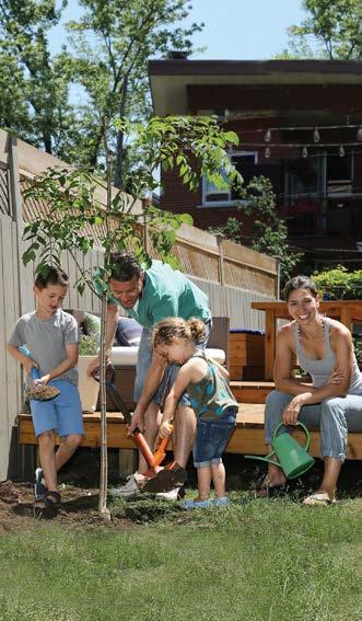 Pour un choix plus grand, la campagne officielle se tiendra du 23 août au 29 septembre, vous pourrez commander et payer vos arbres en ligne au coût de 25 $ l unité, 35 $ pour un arbre fruitier.
