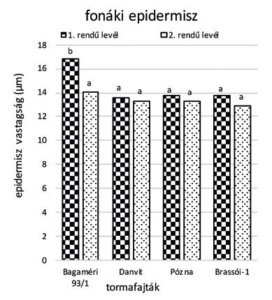 kapott értékek szignifikánsan (p<0,05) különböznek egymástól. Figure 6.