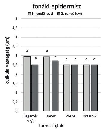 és a másodrendű levélen mért kutikula mérete között statisztikailag igazolható különbség nincs, a Bagaméri 93/1-es fajtánál és a