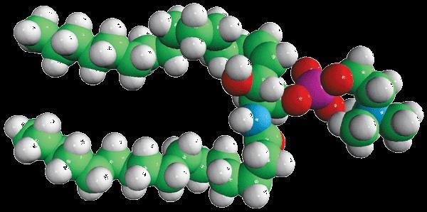 ceramidase