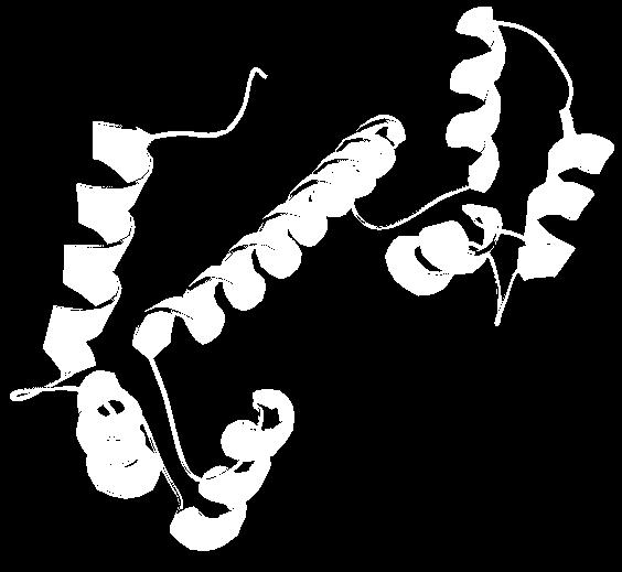 Structure and mechanism of