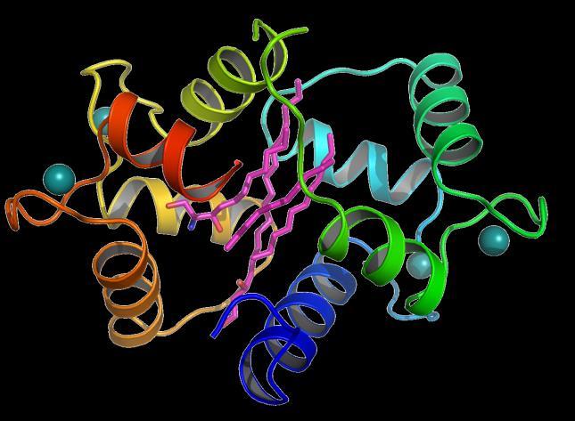 signaling sphingolipid reveal