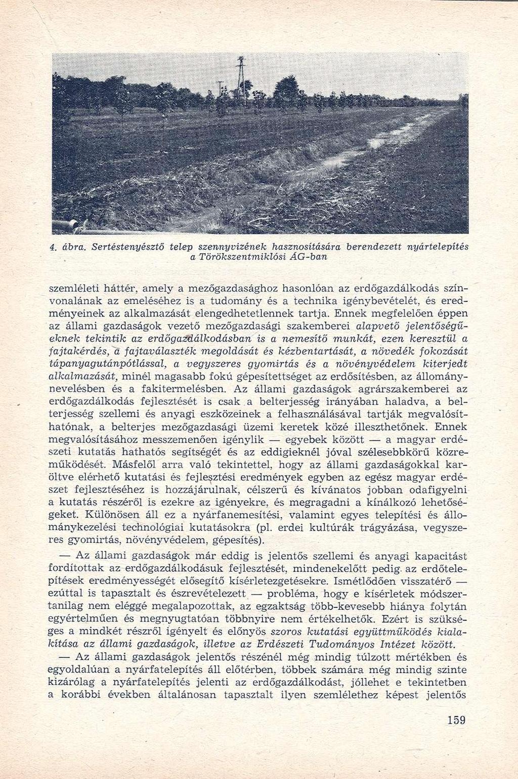 4. ábra.