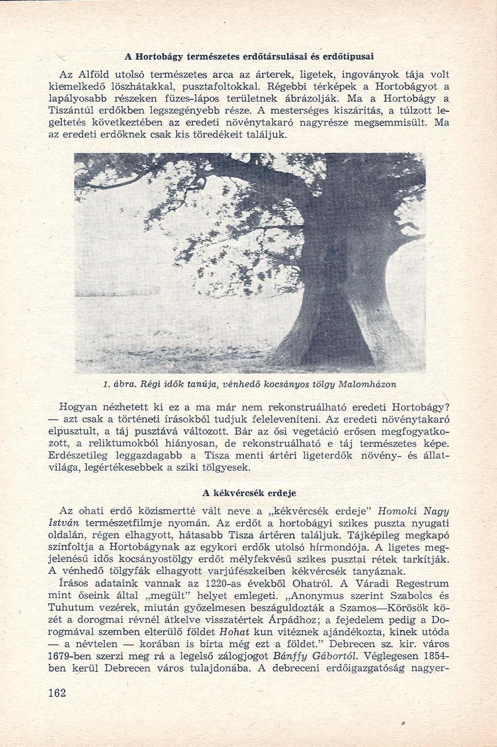 A Hortobágy természetes erdőtársulásai és erdötipusai Az Alföld utolsó természetes arca az árterek, ligetek, ingoványok tája volt kiemelkedő löszhátakkal, pusztafoltokkal.
