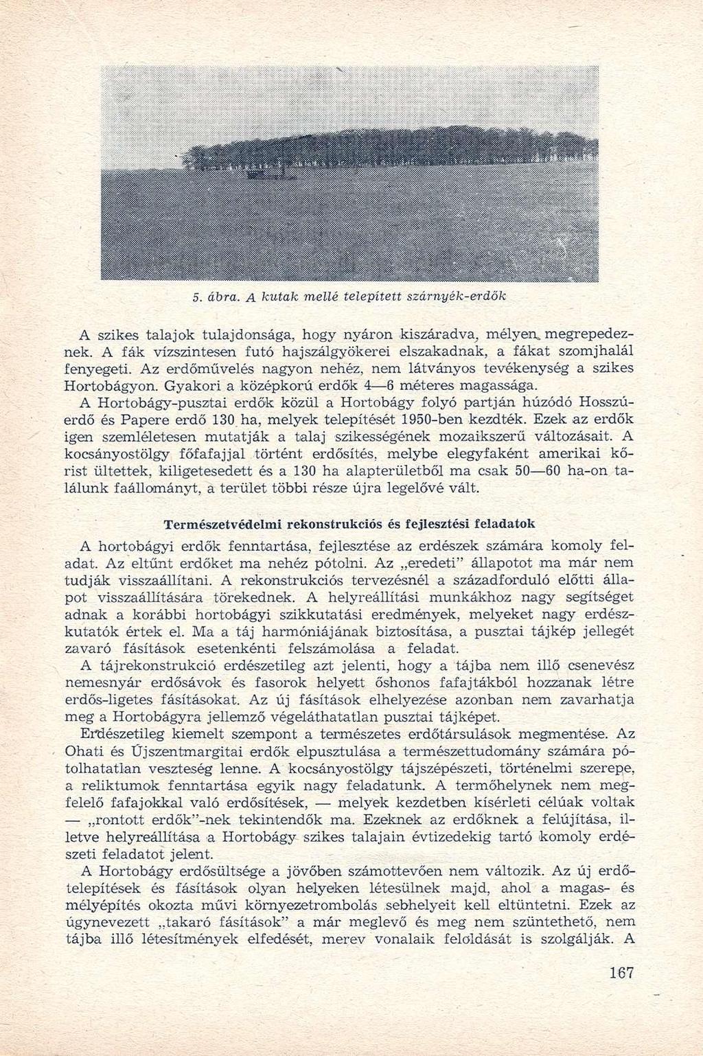 5. ábra. A kutak mellé telepített szárnyék-erdők A szikes talajok tulajdonsága, hogy nyáron kiszáradva, mélyen^ megrepedeznek.