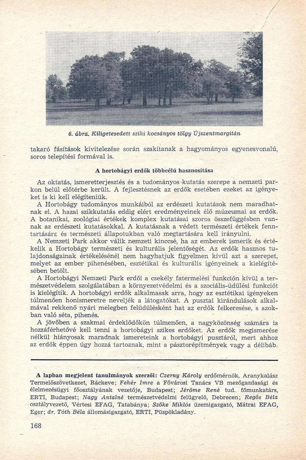 6. ábra. Kiligetesedett sziki kocsányos tölgy Űjszentmargitán takaró fásítások kivitelezése során szakítanak a hagyományos egyenesvonalú, soros telepítési formával is.