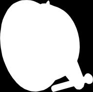 Weboldal: www.