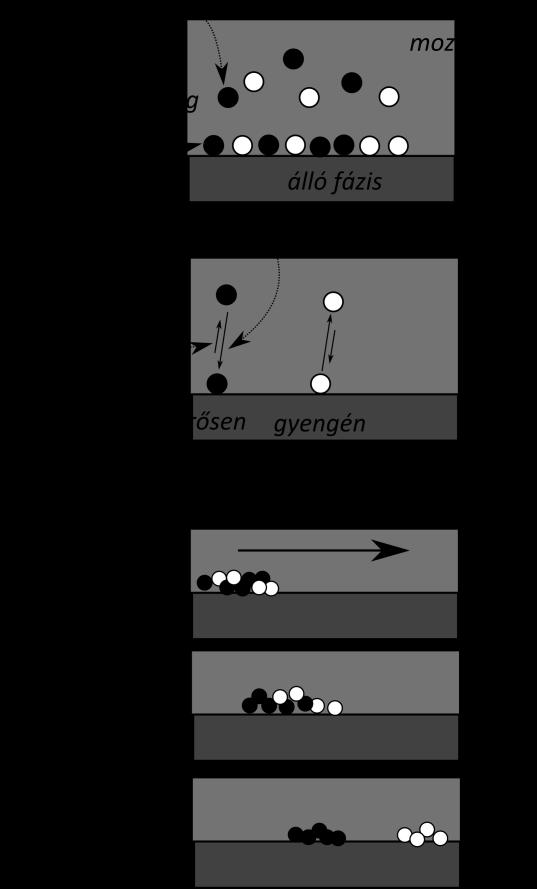 : Vékonyréteg-kromatográfia (VRK) Növényi hatóanyagok izolálásánál, kutatásánál fontos, hogy a sok összetevőből álló növényi
