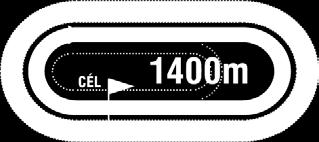 2019.08.18 VIII. FUTAM 17:30 (160) A futam neve: LEPSÉNYI HENDIKEP (V.o.) (szintetikus pálya) Összdíjazás: 460000 Ft (230000, 92000, 69000, 46000, 23000) 1 Lujza 63.5 ifj.