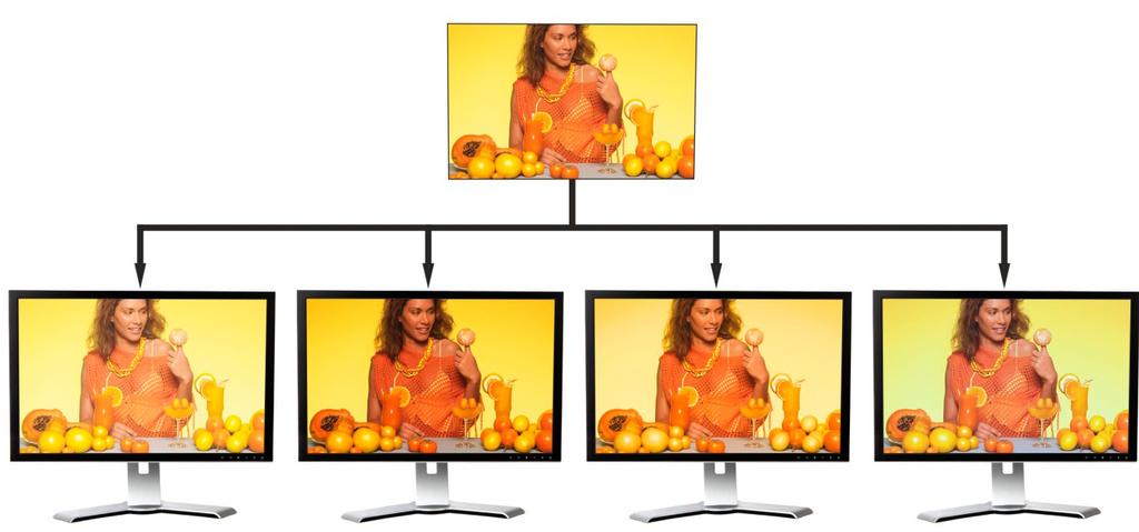 Ugyanaz a fotó különböző monitorokon! Melyik a helyes? PROFESSZIONÁLIS GRAFIKAI MONITOROK JELLEMZŐI Nagy színvisszaadási pontosság és jó ismétlőképesség.