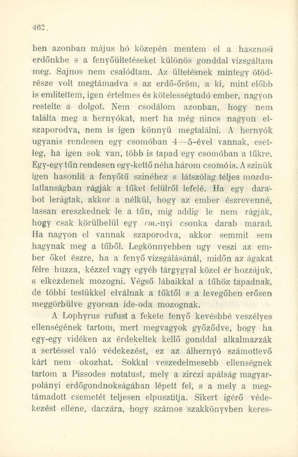 ben azonban május hó közepén mentem el a hasznos! erdőnkbe s a fenyőültetéseket különös gonddal vizsgáltam meg. Sajnos nem csalódtam.