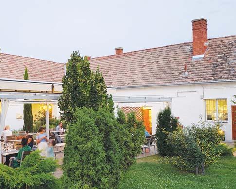 BALATON // GASZTRO Szálka Sarolta Mentes hétvége az északi parton Sokféle ételérzékenységet vagy -allergiát ismerünk már.