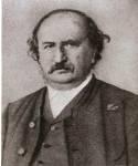 In 1871, Joseph von Gerlach alkotta meg az első nagy elméletet az agy funkcionális organizációjától (a neuronális doktrína előtt (Cajal, 1888).