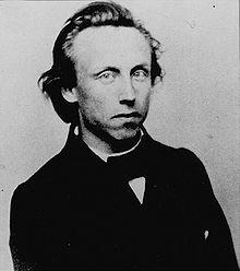 1857, Karl Bergmann azonosította a kisagyi radiális rostokat (Bergmann-rostok), míg