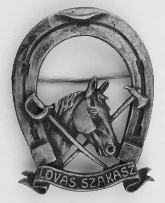 alatt. Az egyik ilyen jelkép az úgynevezett lovasszakasz jelvény volt, amely a világháború végén került rendszeresítésre.