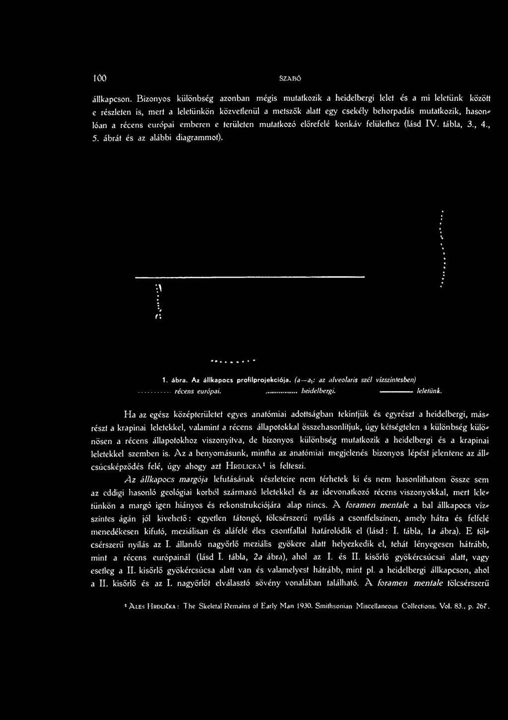 récens európai emberen e területen mutatkozó előrefelé konkáv felülethez (lásd IV. tábla, 3., 4., 5. ábrát és az alábbi diagrammot). 1. ábra. Az állkapocs p ro filp ro je kció ja.
