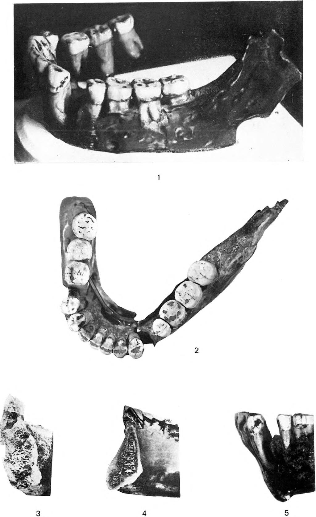 Geologica Hungarica, Ser.
