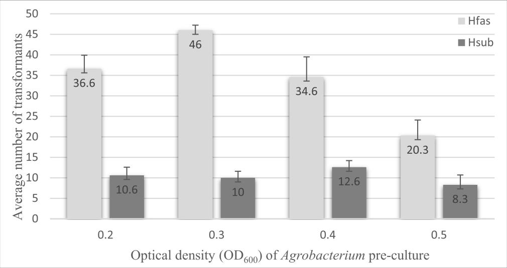 * * * * * Figure S5: Average number of transformants obtained in the presence of various concentrations of acetosyringone for both H. fasciculare (Hfas) and H. sublateritium (Hsub).