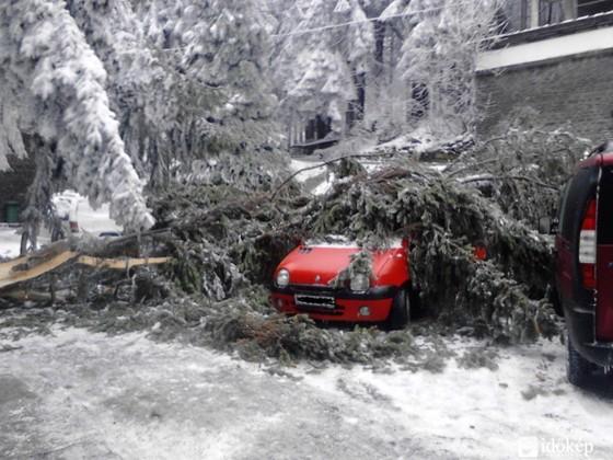 ) terepen csak LEÁLLÍTOTT motorú motorfűrésszel szabad közlekedni.