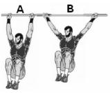 50. Egy ember kétféle módon (A és B) végez húzódzkodásokat. Legalsó helyzetében pihenve melyik esetben kell a karjaival nagyobb erőt kifejtenie? A) Az A esetben. B) A B esetben.