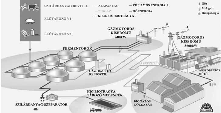 46 gazdálkodás 61. évfolyam 1. szám, 2017 (42 53) fontolásokat igényel.
