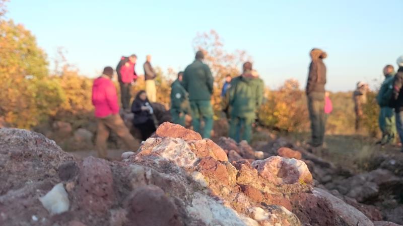 alkalmazkodás A vidéki táj állapotát, helyzetét meghatározó