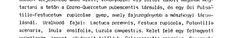 A "hegyet" körülvevő rezgőnyár-szegély, az erőteljesebben terjeszkedő akác miatt, vékonyodik.