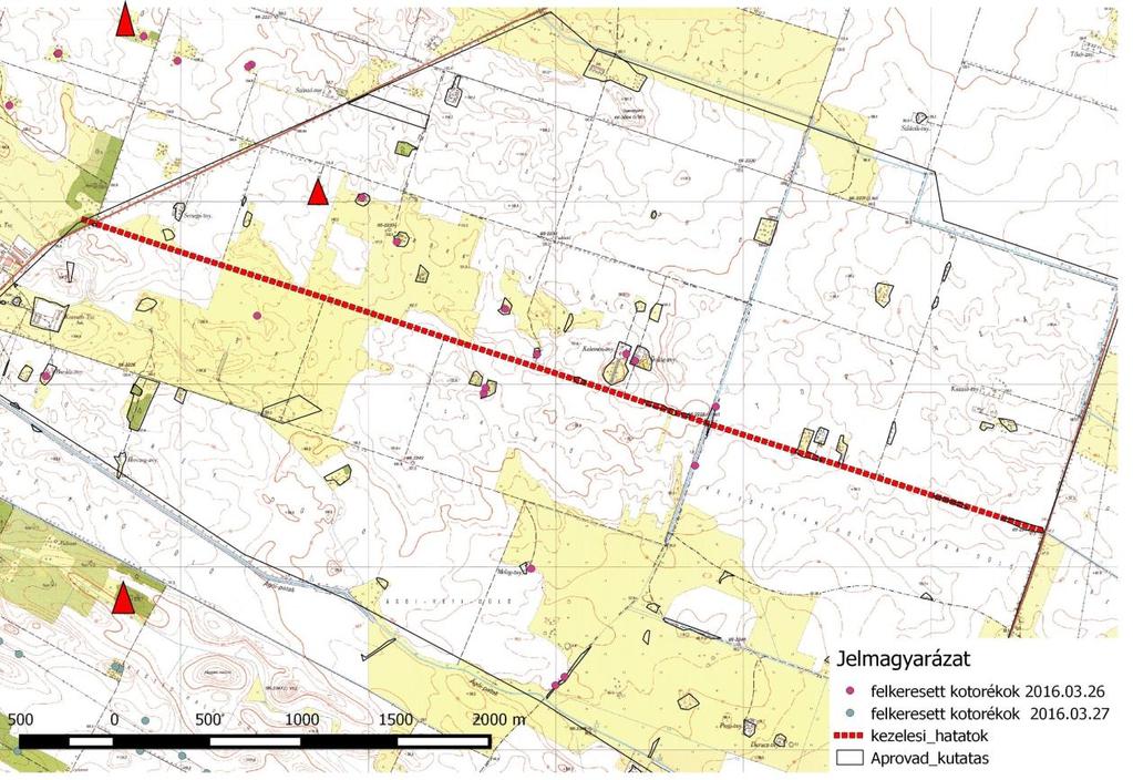 42. ábra A 2016-ban kipakolt kotorékok GPS útpontjai (a kipakolt kotorékokat piros háromszög jelzi). A terítékre került szukák szaporulatát a helyi hivatásos vadászok vizsgálták meg minden évben (5-6.