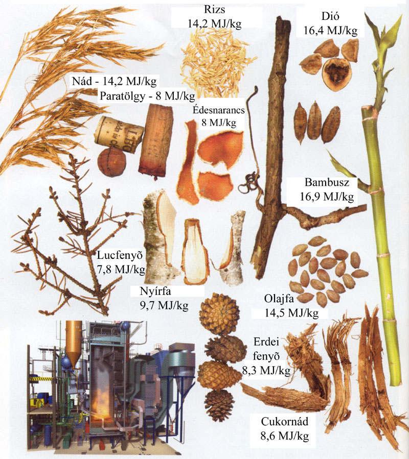 (brikett, pellet, olaj) fermentálás (erjesztés - alkohol, biogáz)