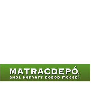 ÁPOLÓ INFORMATIKAI RENDSZERÜZEMELTETŐ IRODAI TITKÁR MÉHÉSZ PÉNZÜGYI SZÁMVITELI ÜGYINTÉZŐ VÁM, JÖVEDÉK ÉS TERMÉKDÍJ ÜGYINTÉZŐ 15 fő jelentkezése esetén bármely településen