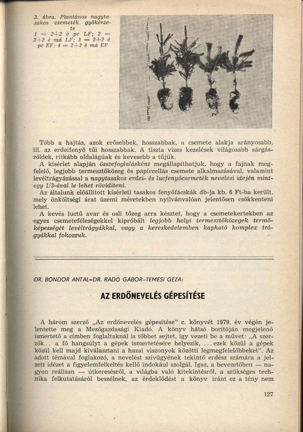 3. ábra. Plantános nagytasakos csemeték gyökérzete 1 = 2+2 é pc LF; 2 = 2+2 é má LF; 3 = 2+2 é pc EF; 4 = 2+2 é má EF Több a hajtás, azok erősebbek, hosszabbak, a csemete alakja arányosabb, 111.