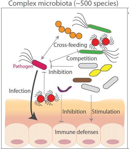 : From Stecher et al.