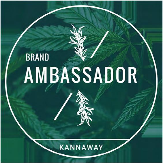 Kompenzációs Terv 2019 21 Brand Ambassador (BA) Követelmények A kötelező $54,98/ 47,80 éves Brand Ambassador díj befizetése Legyen havi minimum személyes 28 PV pontod Brand Am Ezen a szinten a