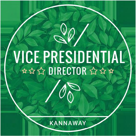Kompenzációs Terv 2019 32 Vice Presidential (VPD) Követelmények A kötelező éves $54.98/ 47.