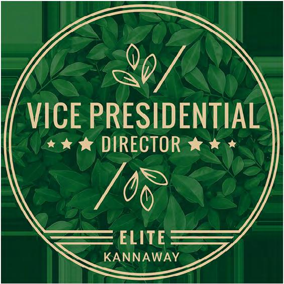 Kompenzációs Terv 2019 33 Vice Presidential Elite (VPDE) Követelmények A kötelező éves $54.98/ 47.