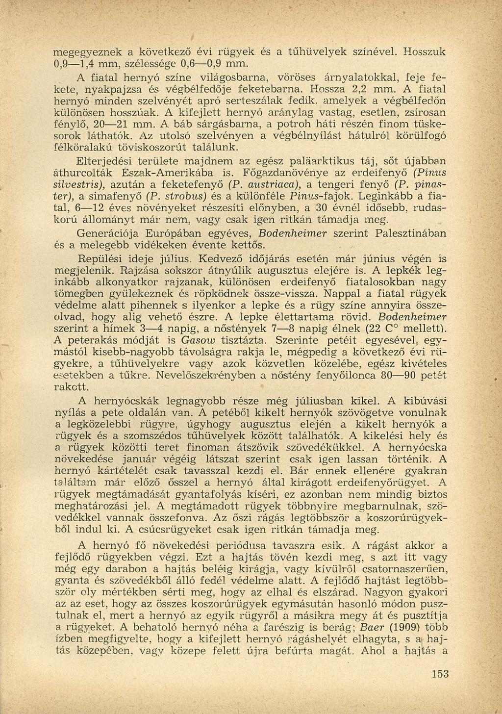 megegyeznek a következő évi rügyek és a tűhüvelyek színével. Hosszuk 0,9 1,4 mm, szélessége 0,6 0,9 mm.