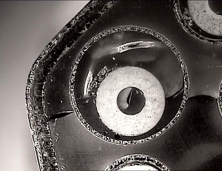 Fig. 6. Rod No.