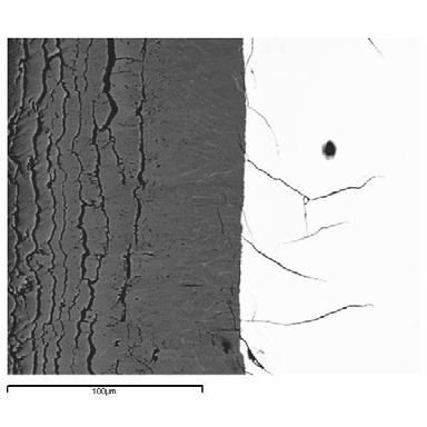 7 CODEX-CT-2 experiment 1 2 4 6 8 1 Elevation [mm] Fig. 7.