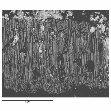 Fig. 74.