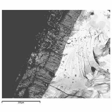 5 cm elevation 9.