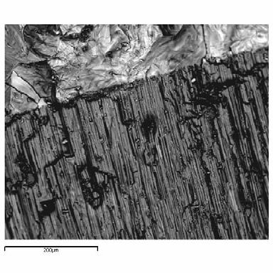 56.5 cm elevation 54.