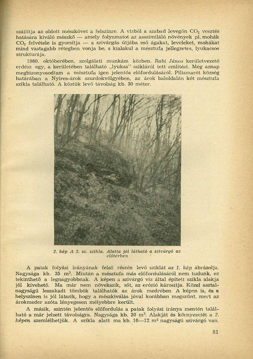 szállítja az oldott mészkövet a felszínié. A vízből a szabad levegőn C0 2 vesztés hatására kiváló mészkő amely folyamatot az asszimiláló növények pl.