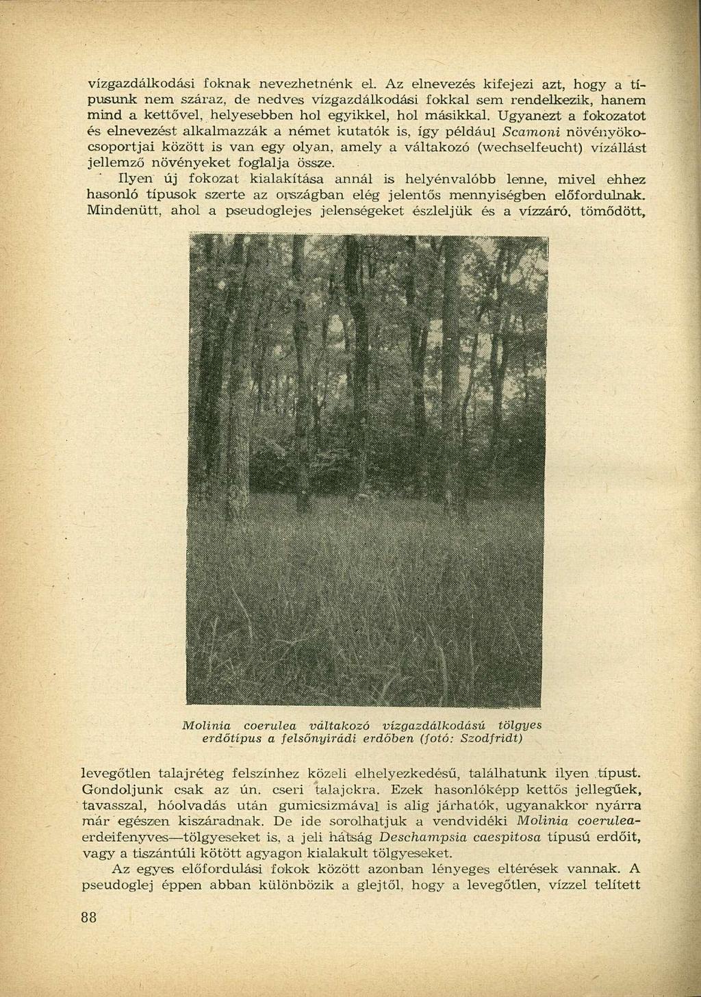 vízgazdálkodási foknak nevezhetnénk el.