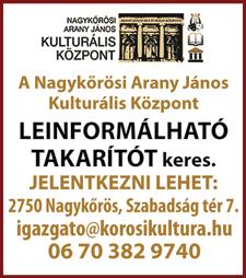 Lajosmizse, Kecskemét területére +36 70 935 8188 TÉRBURKOLAT építő cég keres kőművest, betanított