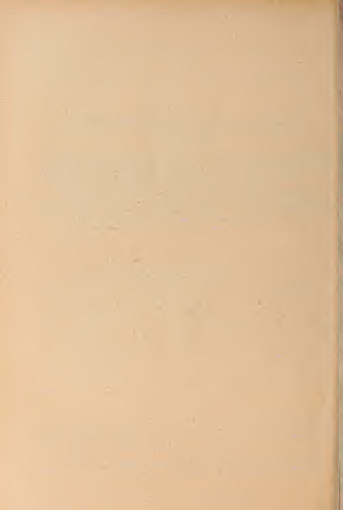 az A SOPRONI DEINOTHERIUM GIGANTEUM KAUP-FOGAK VTTÁIJS ISTVÁN t (II/ 1,1 táblával Már 1862-ben hirt adott Schwabenau arról, hogy Sopron város területén a Mihály-kápolnán túl, a Koronázódomb