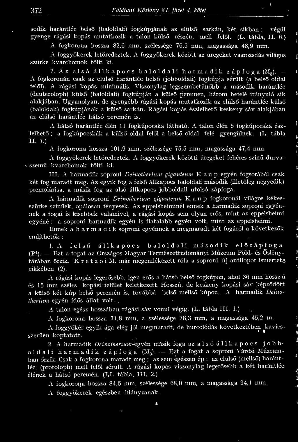 harmadik zápfoga (Mg A fogkoronán csak az elüls harántléc bels (jobboldali fogkúpja sérült (a bels oldal fell A rágási kopás minimális Viszonylag legszembetnbb a második harántléc (deuteroloph küls