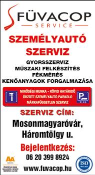 : 06-70-394-8852, 96/821-173 9 személyes kisbusz rendszeresen karbantartott, megbízható állapotban, jéghideg klímával, vonóhoroggal Mosonmagyaróváron bérelhető. Érd.