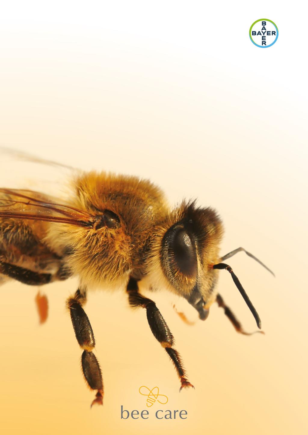 Méhek könyve Méhek apró