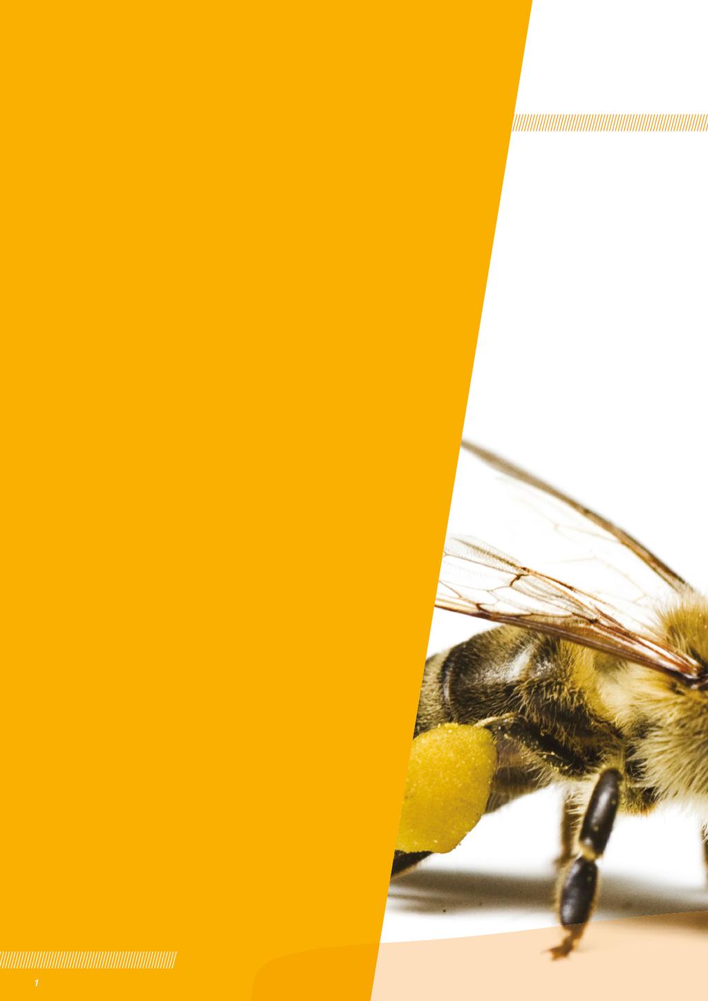 Tartalomjegyzék Bevezetés 2 1 Egy nagy, rendkívül változatos család 3-4 Ismerkedés néhány méhfajjal 2 A kaptárban 5-8 Ismerkedés a háziméhvel Egy év a nyugati mézelő méh életében A háziméh-kolónia